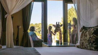 Family feeding the giraffes from their balcony in the Giraffe Treehouse