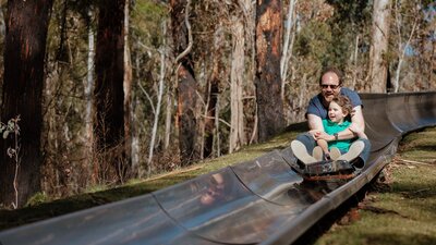 A father and son riding a cart down a metal toboggan track surrounded by a mountain ash forest.
