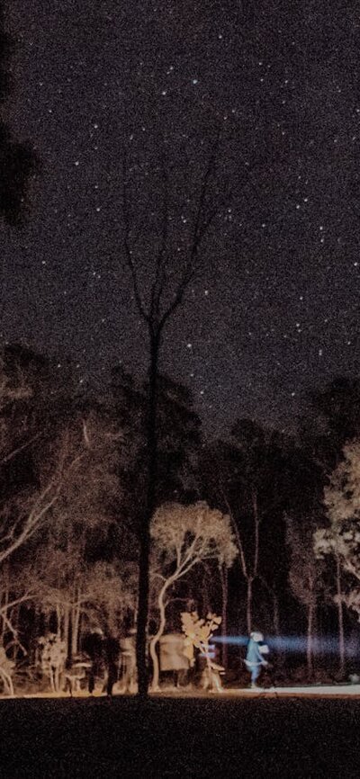 A Twilight Tour in Mulligans Flat Woodland Sanctuary looking at endangered wildlife