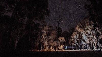 A Twilight Tour in Mulligans Flat Woodland Sanctuary looking at endangered wildlife