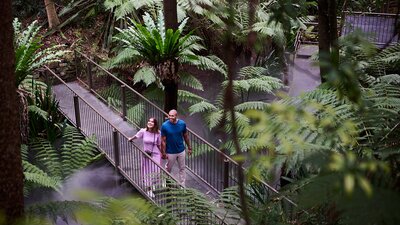 Couple walking across bridge surrounded by large, green ferns.